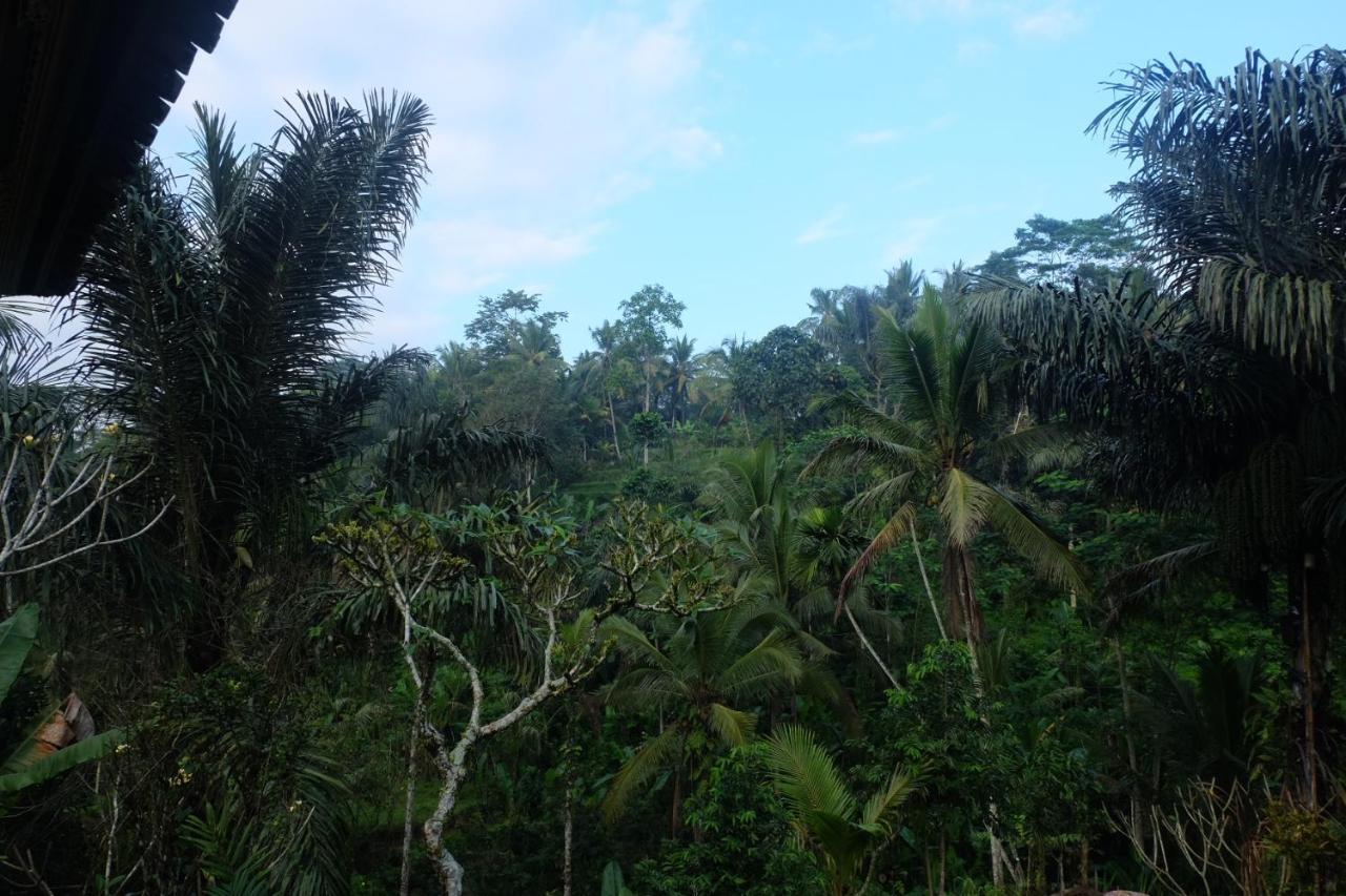 Gunung Kawi House Villa Tegallalang  Eksteriør bilde