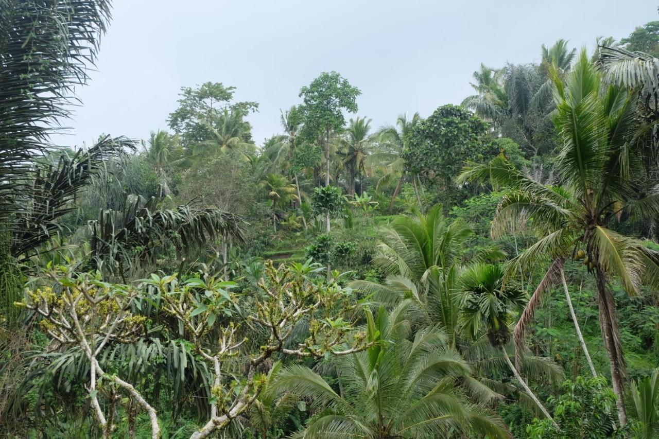 Gunung Kawi House Villa Tegallalang  Eksteriør bilde