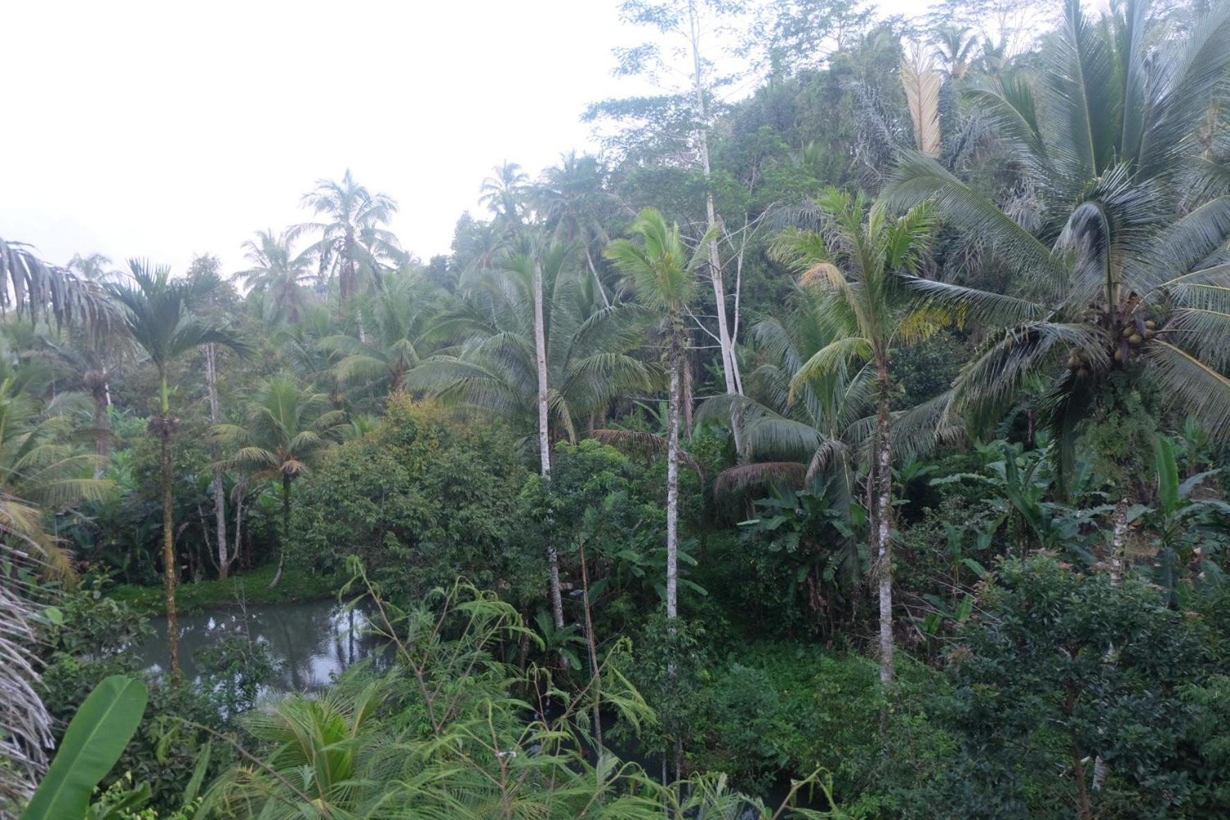 Gunung Kawi House Villa Tegallalang  Eksteriør bilde