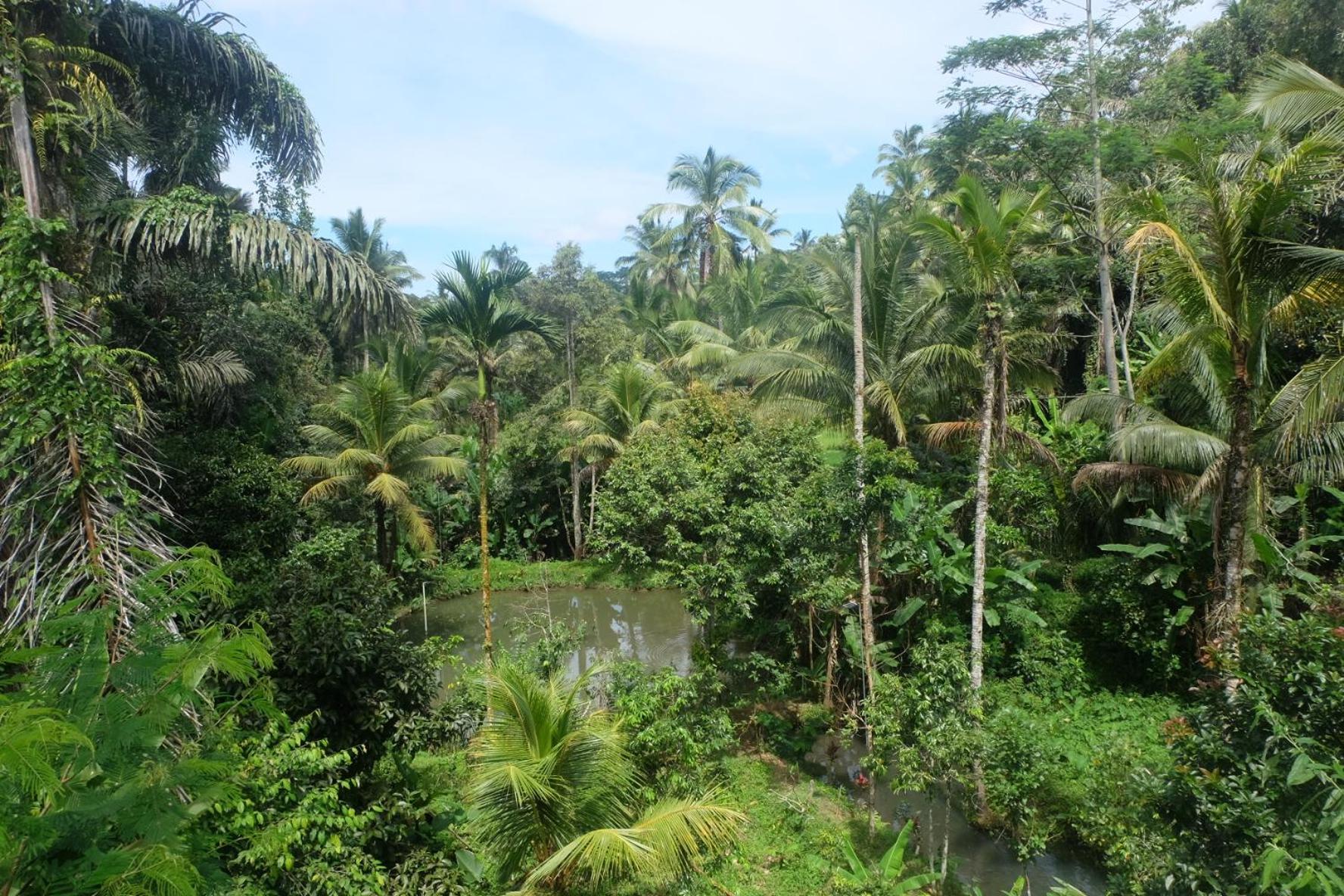 Gunung Kawi House Villa Tegallalang  Eksteriør bilde