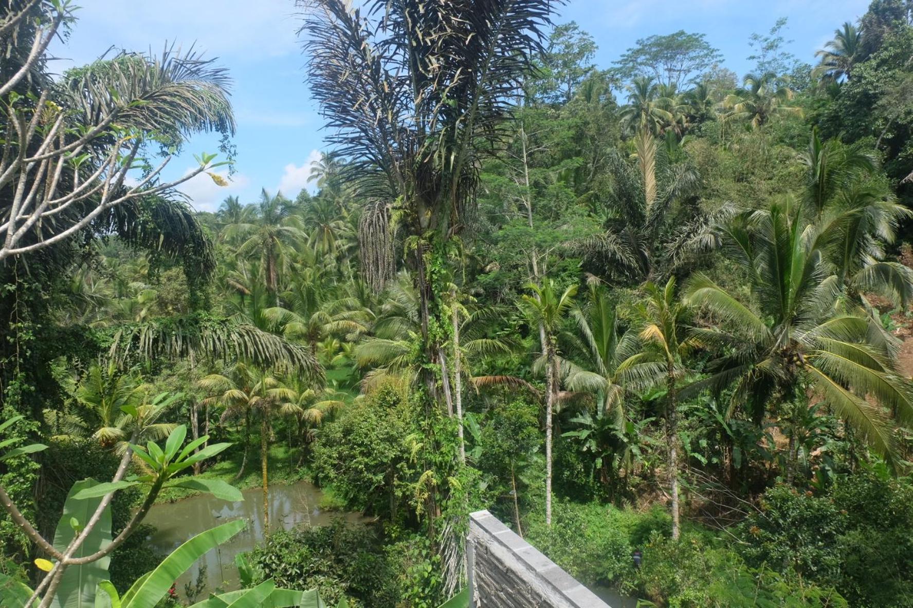 Gunung Kawi House Villa Tegallalang  Eksteriør bilde